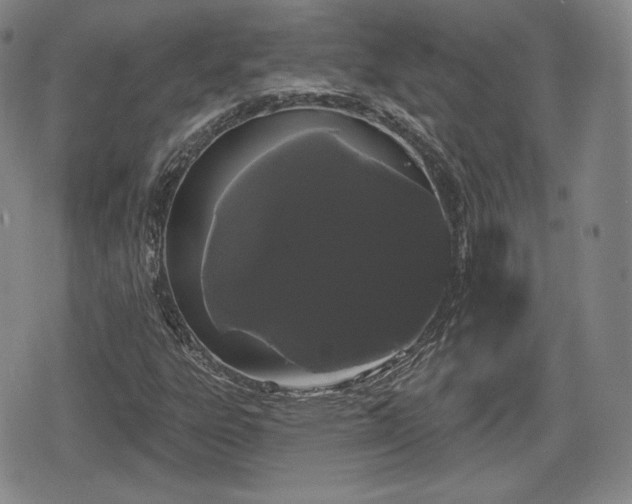 X0000076441303200610161236