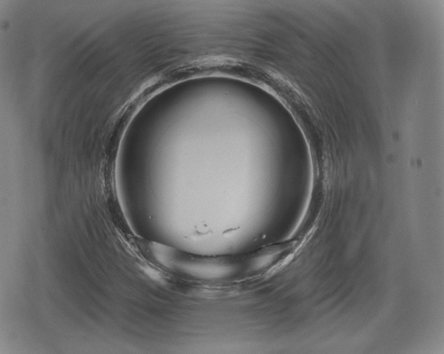 X0000076441305200610161236