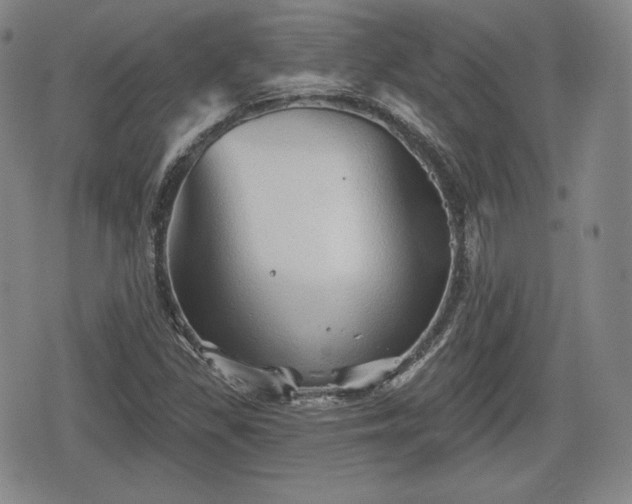 X0000076441309200610161236