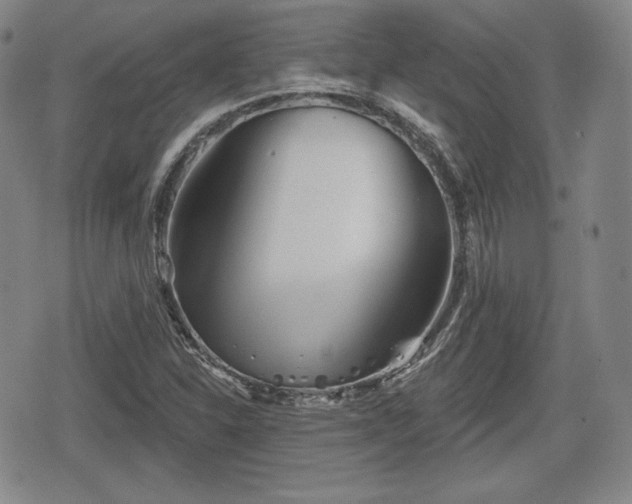 X0000076441310200610161236