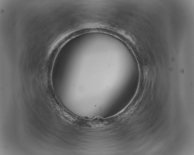 X0000076441311200610161236