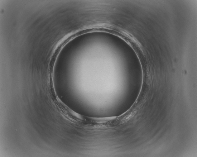 X0000076441316200610161236