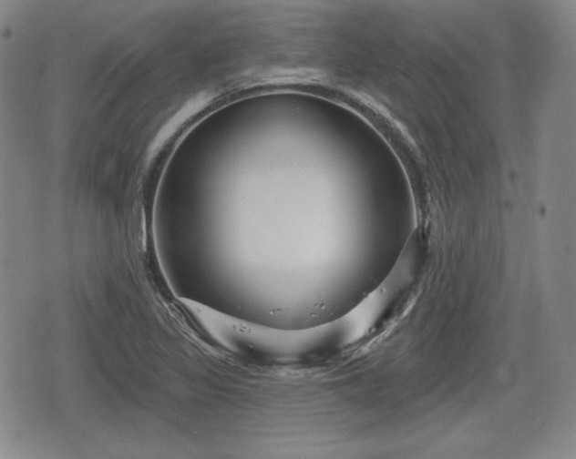 X0000076441317200610161236