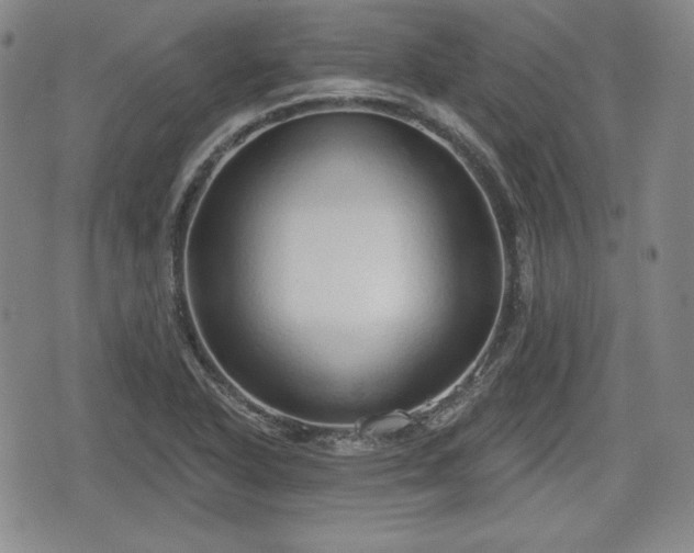 X0000076441318200610161236