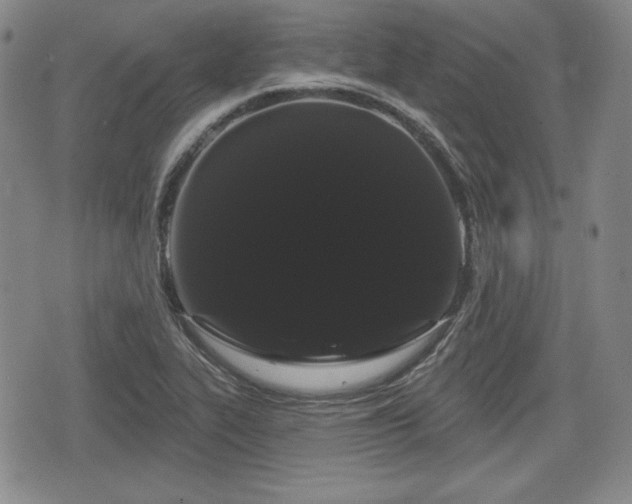 X0000076441319200610161236