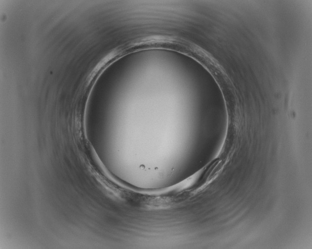 X0000076441321200610161236