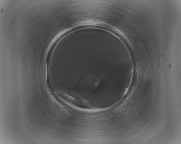 X0000076441323200610161236