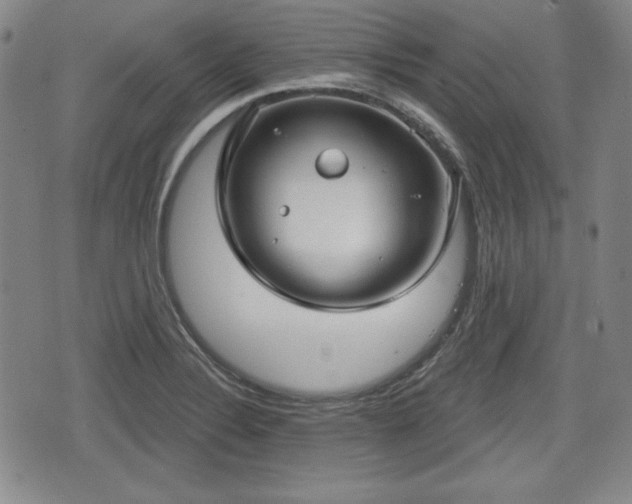 X0000076441324200610161236