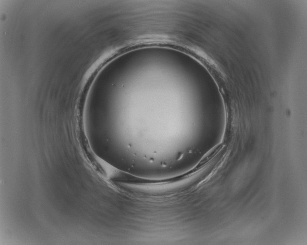 X0000076441325200610161236