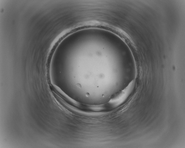 X0000076441326200610161236