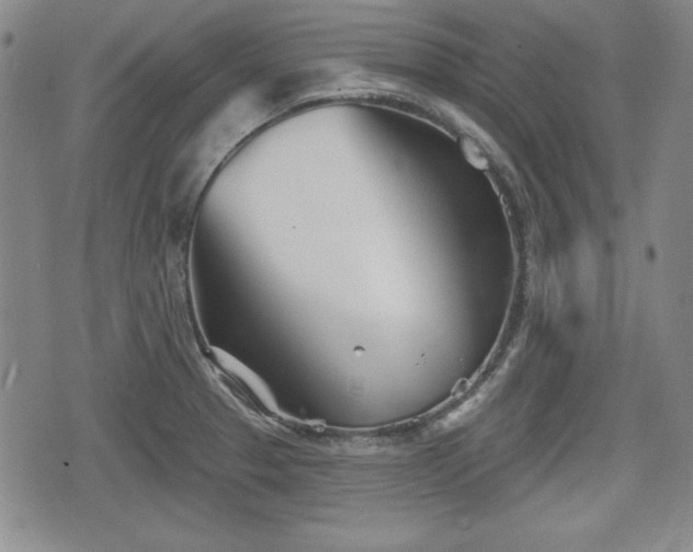 X0000076441329200610161236