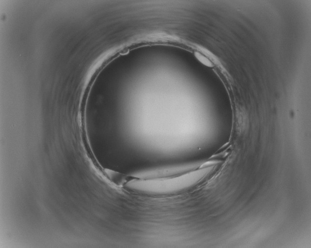 X0000076441335200610161236