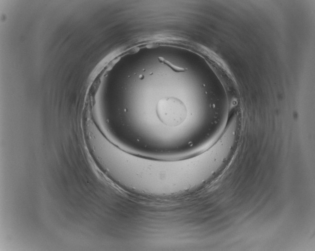 X0000076441338200610161236