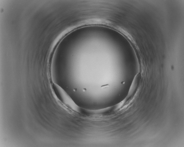 X0000076441342200610161236