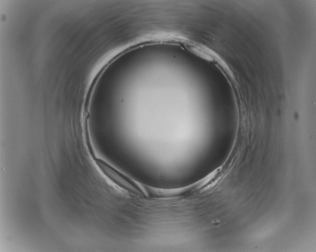 X0000076441343200610161236