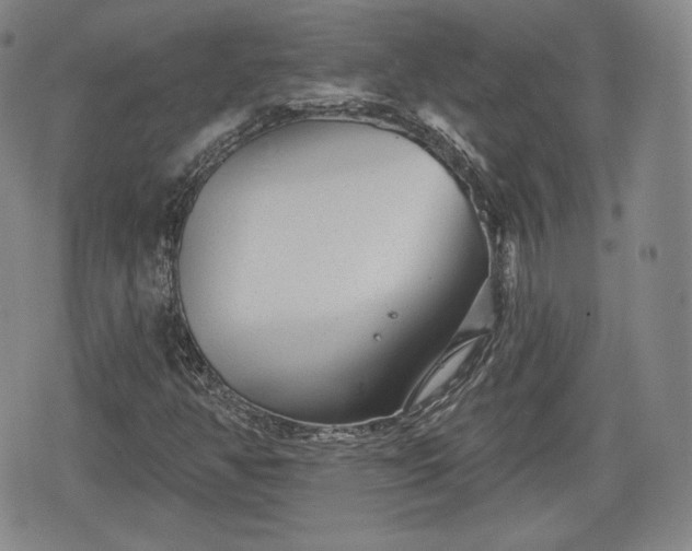 X0000076441350200610161236