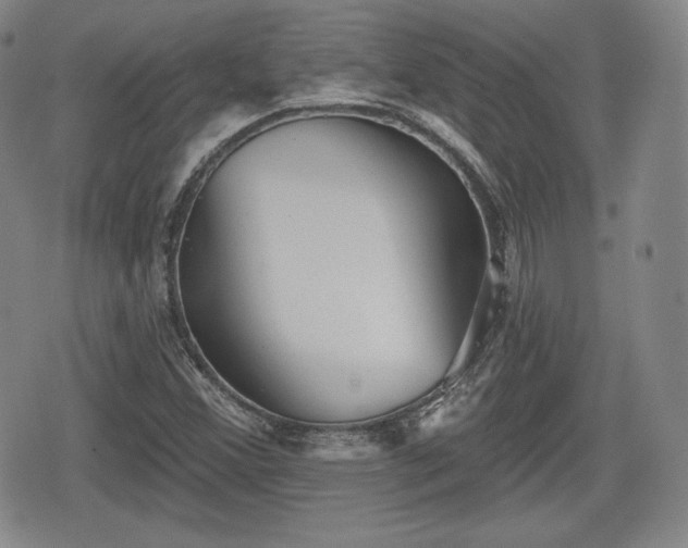 X0000076441356200610161236