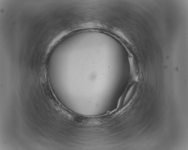 X0000076441358200610161236