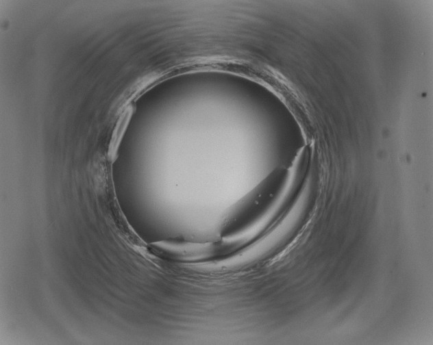 X0000076441361200610161235