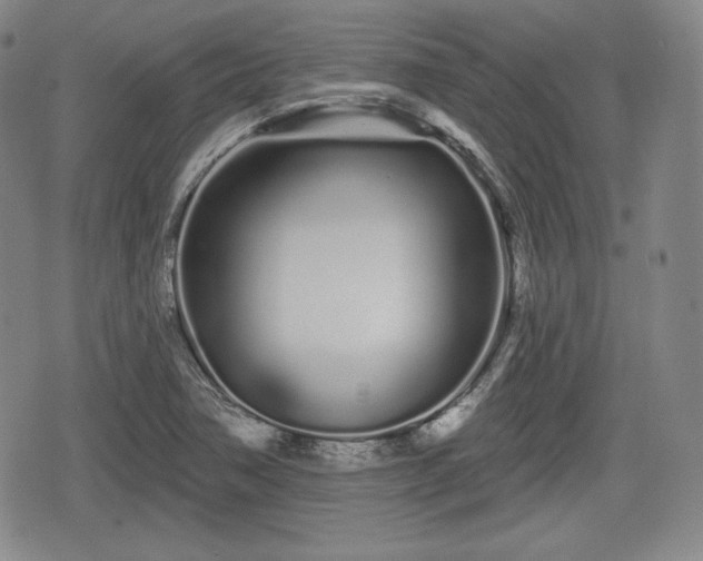 X0000076441362200610161235