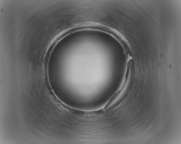 X0000076441364200610161235