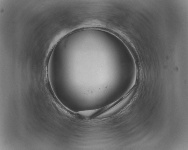 X0000076441366200610161235