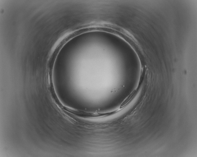 X0000076441368200610161235