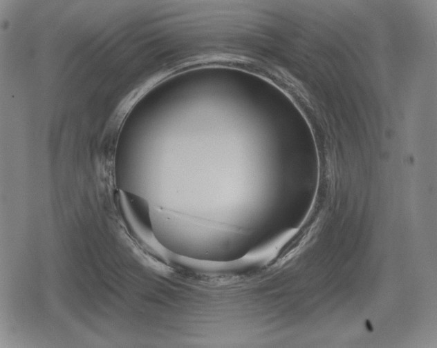 X0000076441369200610161235