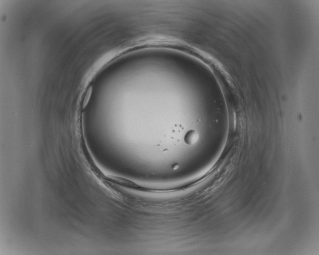 X0000076441375200610161235