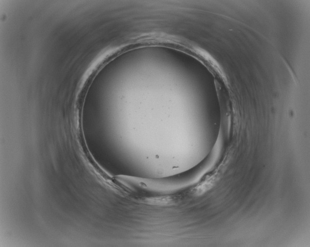 X0000076441376200610161235