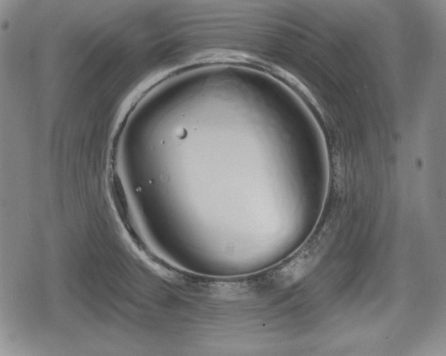 X0000076441379200610161235