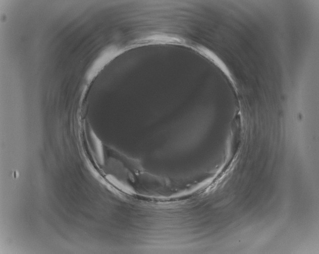 X0000076441381200610161235