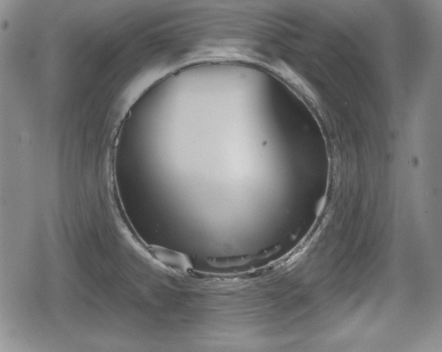 X0000076441382200610161235