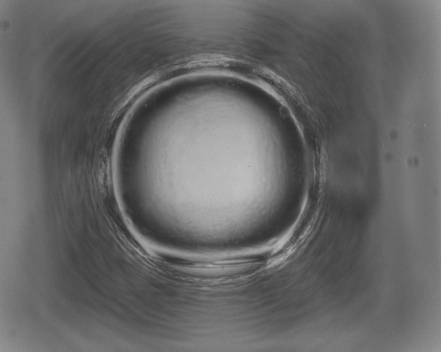 X0000076441401200610161234