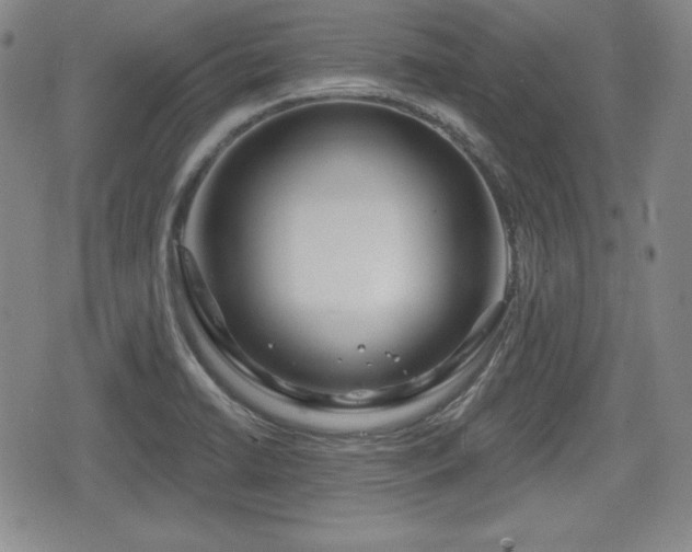 X0000076441422200610161235
