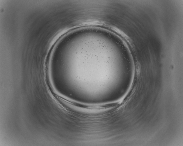 X0000076441423200610161235