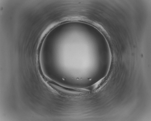 X0000076441424200610161235