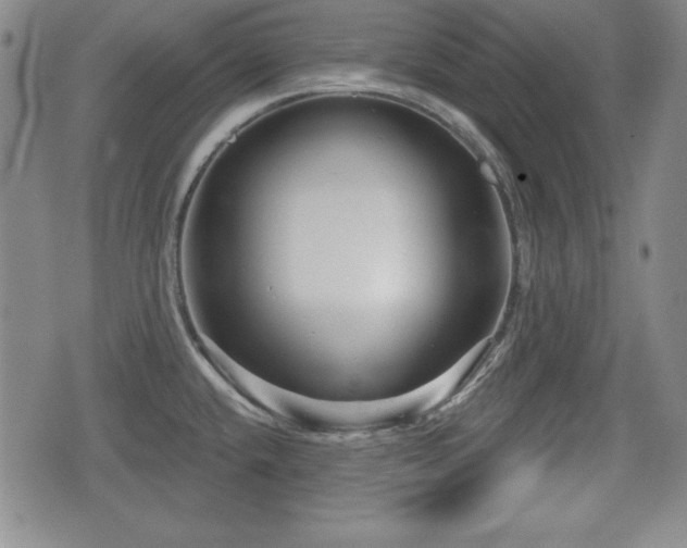 X0000076441432200610161235