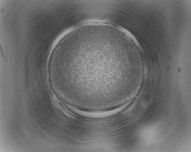 X0000076441435200610161235