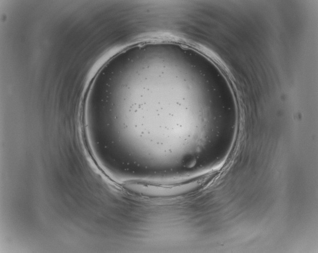 X0000076441440200610161235