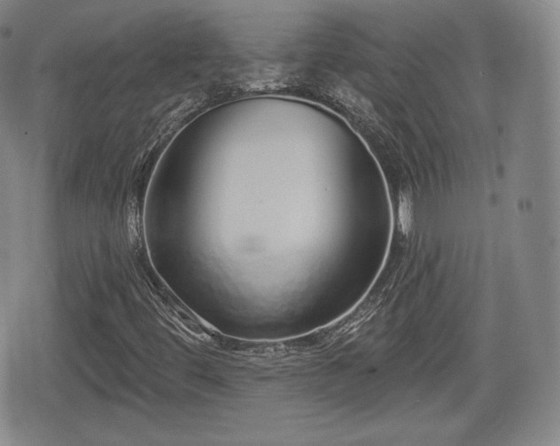 X0000076441444200610161234
