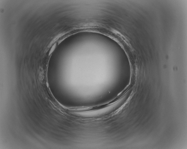 X0000076441449200610161234