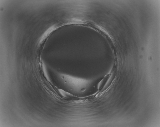 X0000076441455200610161234