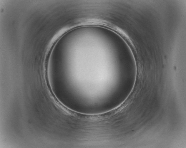 X0000076441480200610161233