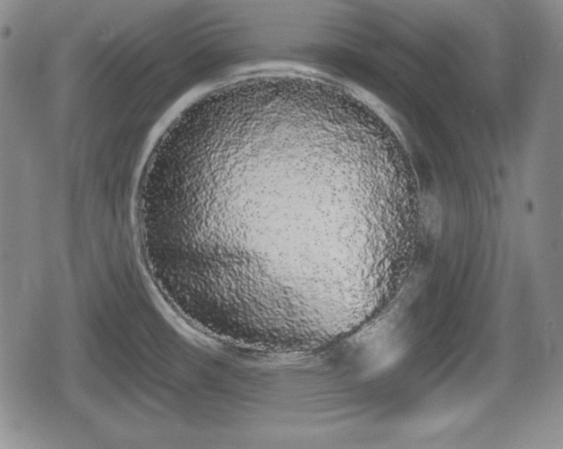 X0000076441482200610161233