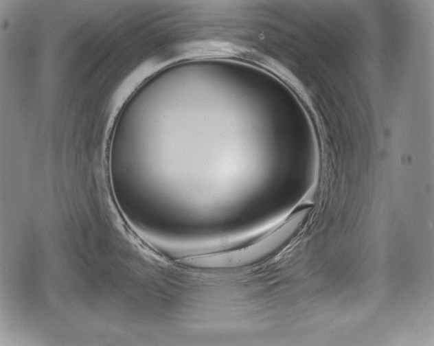 X0000076441488200610161233