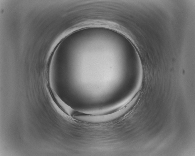 X0000076441531200610161233