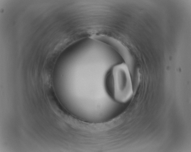 X0000076440031200610202321