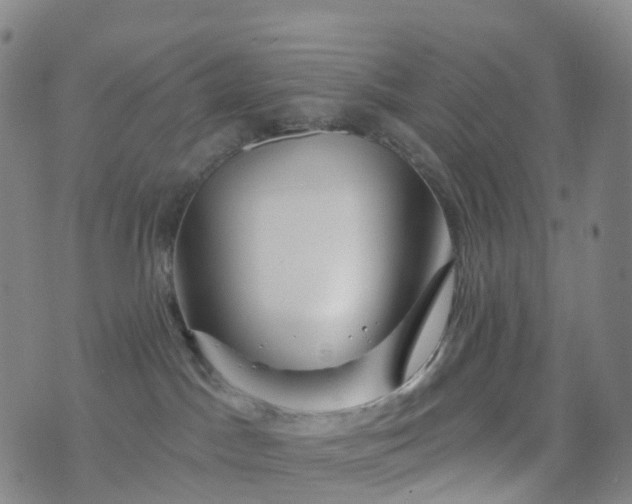 X0000076440045200610202321