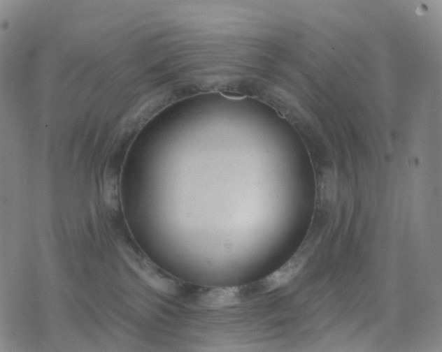 X0000076440138200610202319